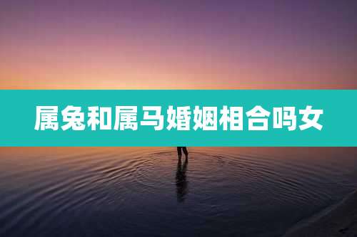 属兔和属马婚姻相合吗女