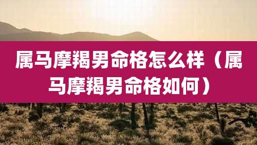 属马摩羯男命格怎么样（属马摩羯男命格如何）