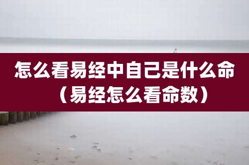 怎么看易经中自己是什么命（易经怎么看命数）