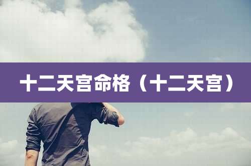 十二天宫命格（十二天宫）
