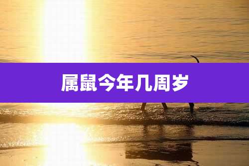 属鼠今年几周岁