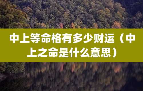 中上等命格有多少财运（中上之命是什么意思）