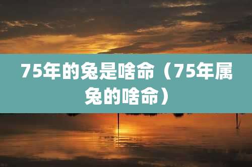 75年的兔是啥命（75年属兔的啥命）