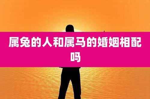 属兔的人和属马的婚姻相配吗