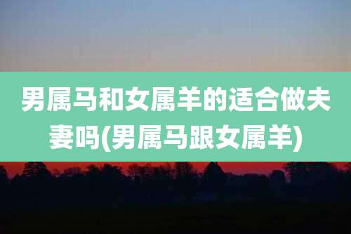 男属马和女属羊的适合做夫妻吗(男属马跟女属羊)