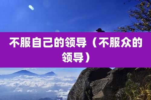不服自己的领导（不服众的领导）