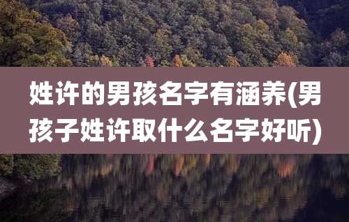 姓许的男孩名字有涵养(男孩子姓许取什么名字好听)