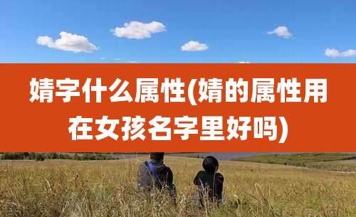 婧字什么属性(婧的属性用在女孩名字里好吗)