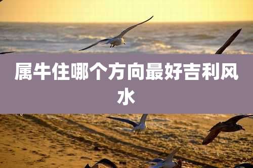 属牛住哪个方向最好吉利风水