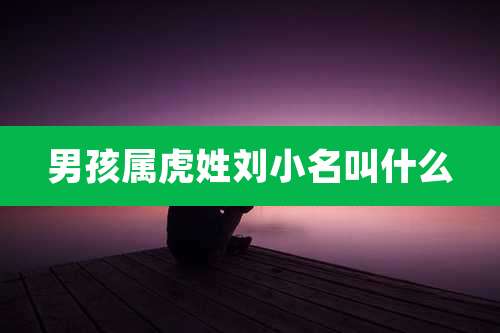 男孩属虎姓刘小名叫什么
