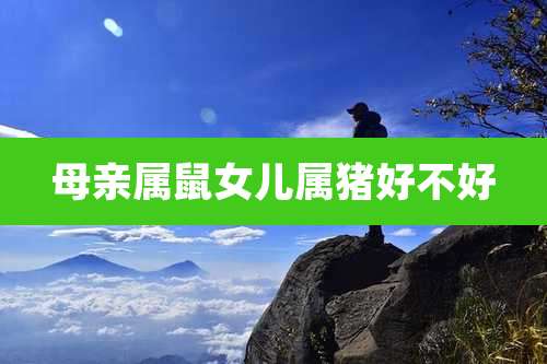 母亲属鼠女儿属猪好不好