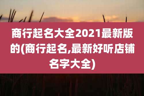 商行起名大全2021最新版的(商行起名,最新好听店铺名字大全)