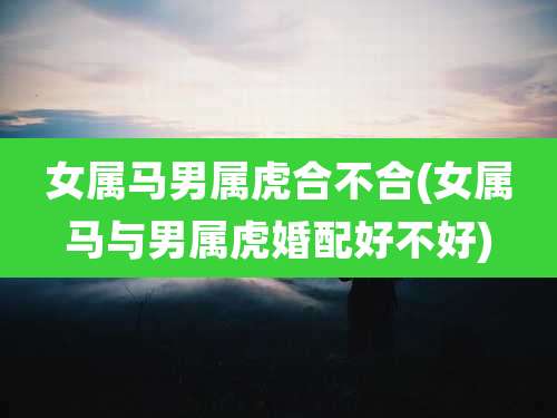 女属马男属虎合不合(女属马与男属虎婚配好不好)