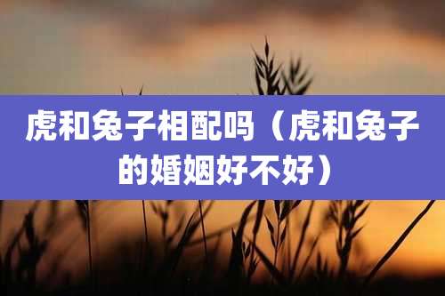 虎和兔子相配吗（虎和兔子的婚姻好不好）