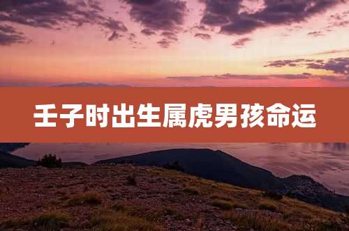 壬子时出生属虎男孩命运
