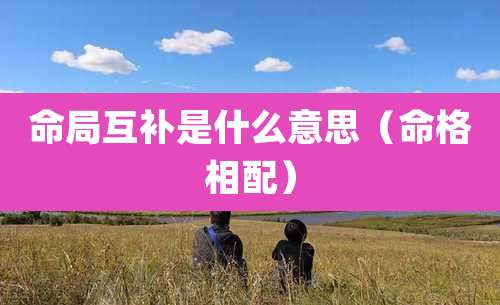 命局互补是什么意思(命格相配)