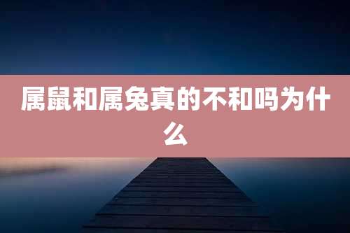 属鼠和属兔真的不和吗为什么