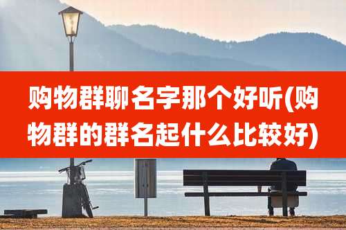购物群聊名字那个好听(购物群的群名起什么比较好)
