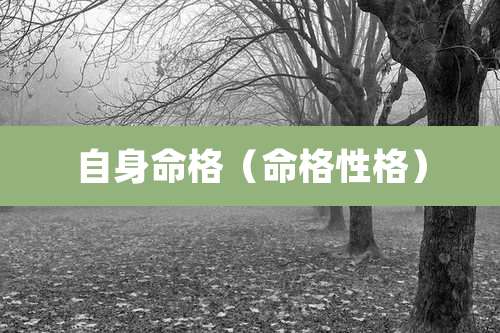 自身命格（命格性格）