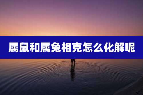 属鼠和属兔相克怎么化解呢