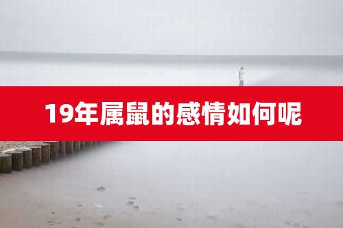 19年属鼠的感情如何呢