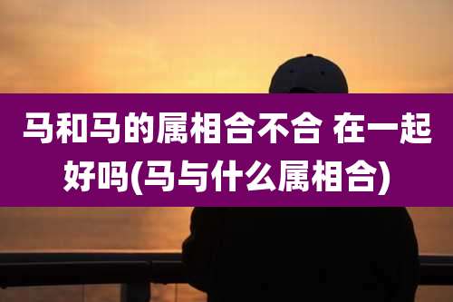 马和马的属相合不合 在一起好吗(马与什么属相合)