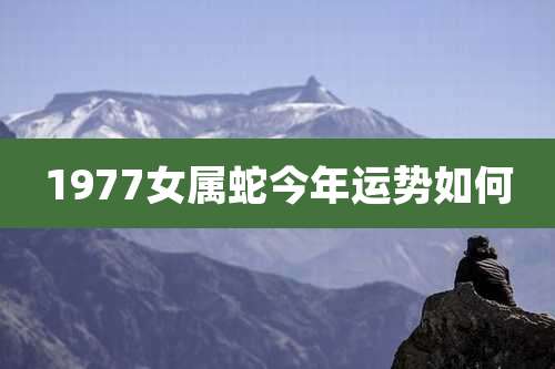 1977女属蛇今年运势如何