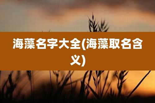 海藻名字大全(海藻取名含义)