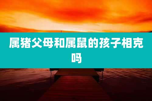 属猪父母和属鼠的孩子相克吗