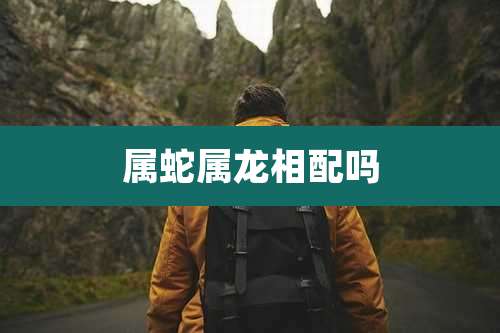 属蛇属龙相配吗