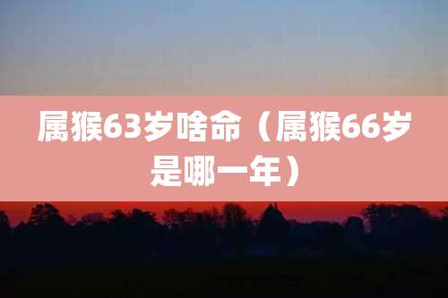 属猴63岁啥命（属猴66岁是哪一年）