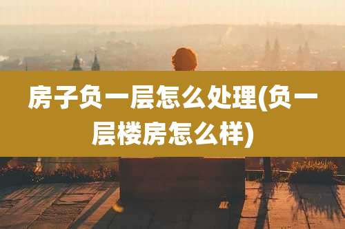 房子负一层怎么处理(负一层楼房怎么样)