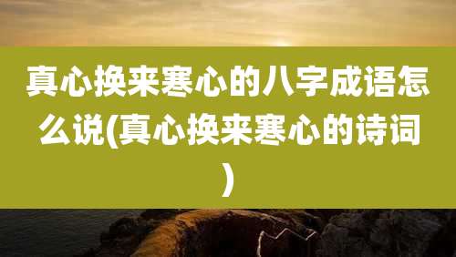 真心换来寒心的八字成语怎么说(真心换来寒心的诗词)