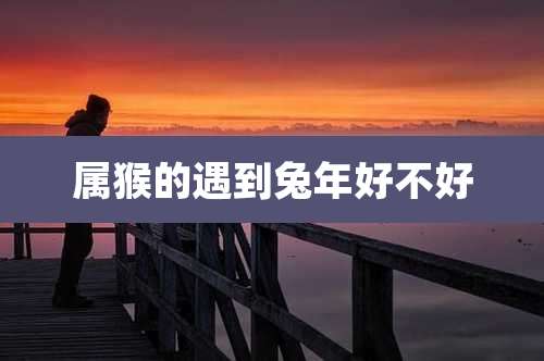 属猴的遇到兔年好不好