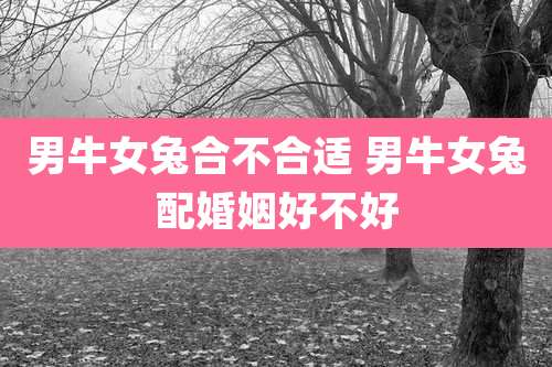 男牛女兔合不合适 男牛女兔配婚姻好不好