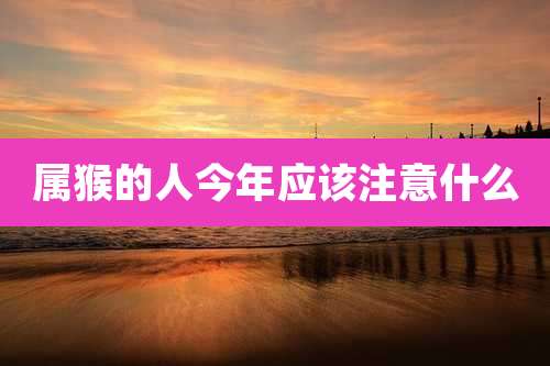 属猴的人今年应该注意什么