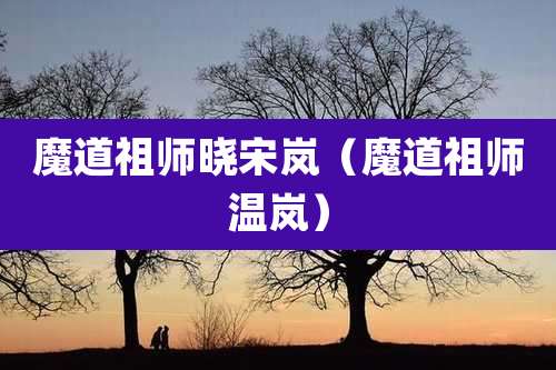 魔道祖师晓宋岚（魔道祖师温岚）