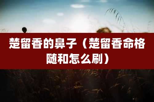 楚留香的鼻子（楚留香命格随和怎么刷）