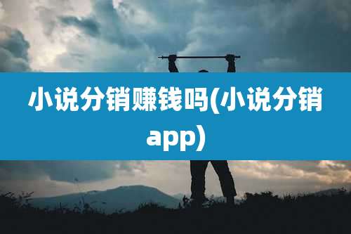 小说分销赚钱吗(小说分销app)