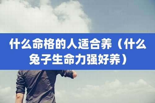 什么命格的人适合养（什么兔子生命力强好养）