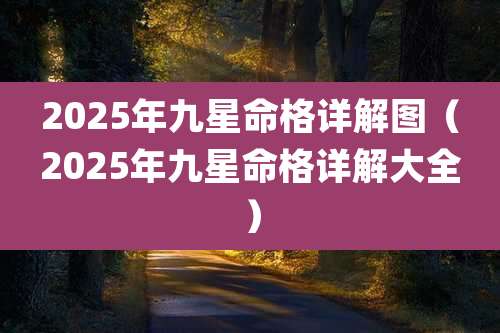 2025年九星命格详解图（2025年九星命格详解大全）