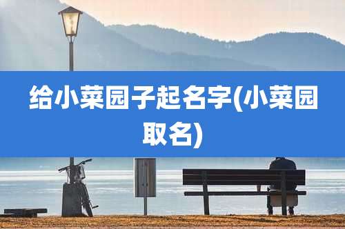 给小菜园子起名字(小菜园取名)
