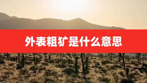 外表粗犷是什么意思