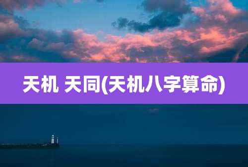 天机 天同(天机八字算命)