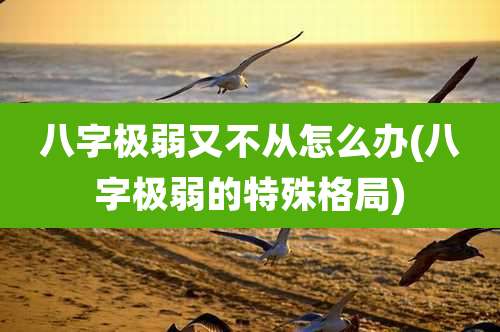 八字极弱又不从怎么办(八字极弱的特殊格局)