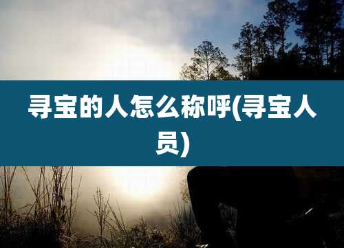 寻宝的人怎么称呼(寻宝人员)