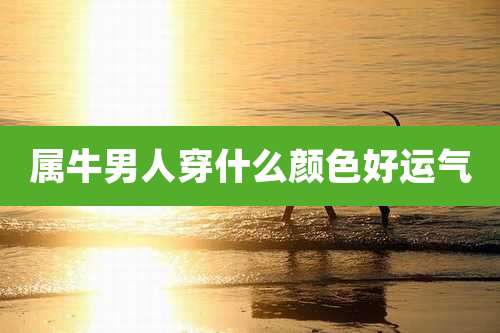 属牛男人穿什么颜色好运气