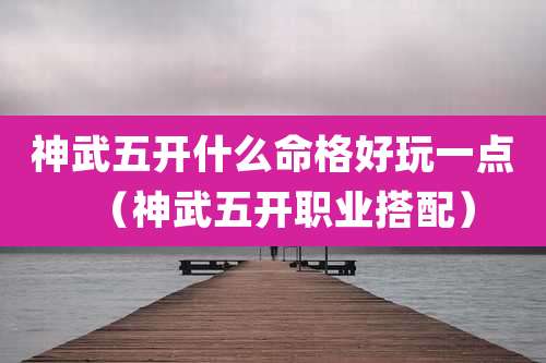 神武五开什么命格好玩一点（神武五开职业搭配）