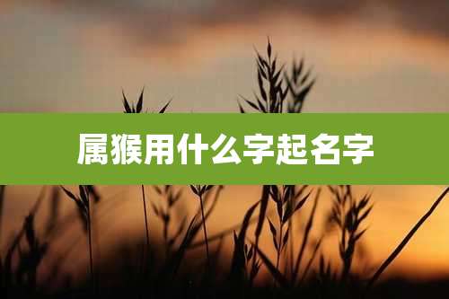 属猴用什么字起名字