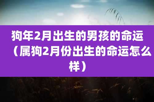 狗年2月出生的男孩的命运（属狗2月份出生的命运怎么样）